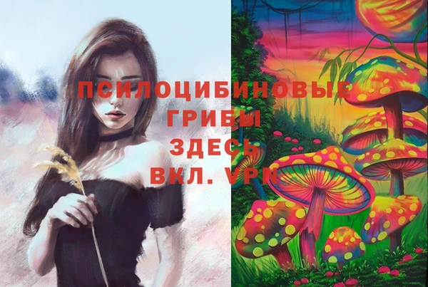 прущий лед Арсеньев